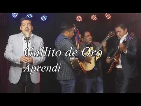 Aprendí - El Gallito de Oro (en vivo)