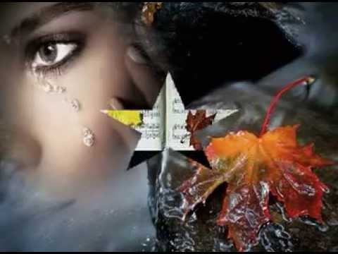 JUŻ NIGDY - Sława Przybylska