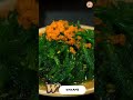 ABC Food Groceries Song - Part 3: R to Z - #singing & #learning #abcd together