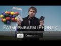 Разыгрываем iPhone 5 - Мир-Труд-Май! 