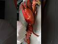 Shorts Lobster Seafood Korean Food