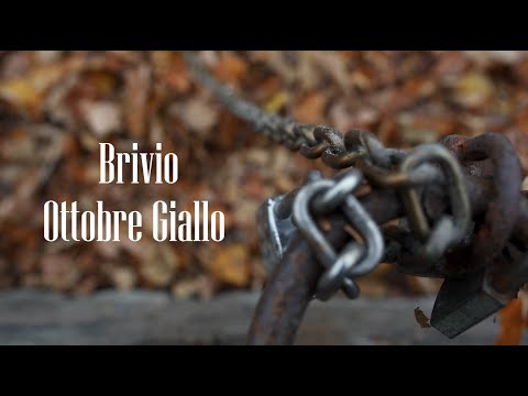 Brivio, l'Adda e l'Autunno - Un video per le prime foglie