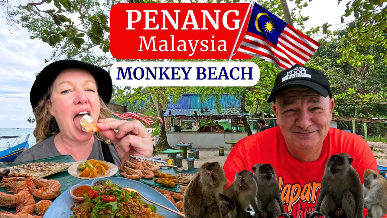 Join the duo as they embark on a thrilling exploration of Monkey Beach in this captivating video.