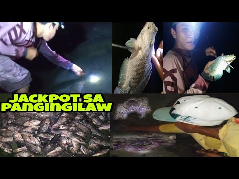 vlog#212  | malalaking tilapia sa pangingilaw sa ilog + damuko | jackpot |
