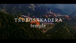 南法華寺　壷阪寺の秋