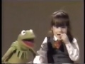 Classic Sesame Street Kermit And Tracy 3 Segments