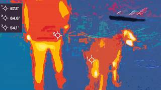 Aesop Rock - Send Help (Official Video)