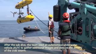Hannibal Bank Seamount Expedition