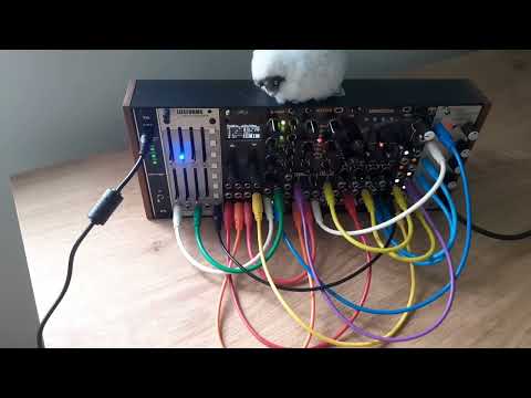 "Tidal" | Eurorack | Generative Ambient