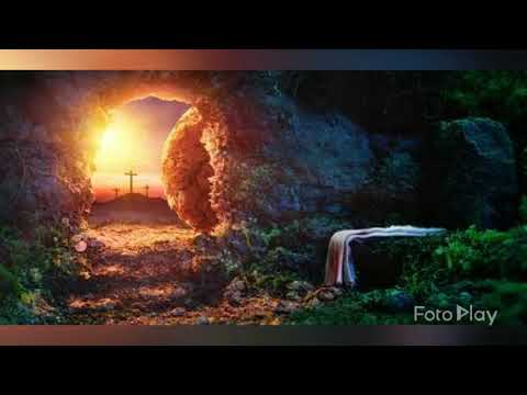 In dimineata invierii - Fedur Samuel