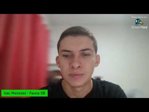 QUEIMADAS NA REGIÃO DA LAGOA DO BACURI (MA) E SEUS PREJUÍZOS