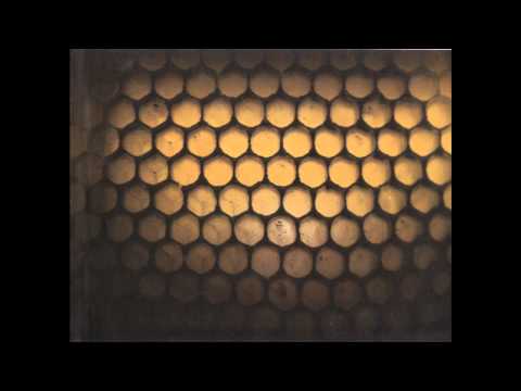 TURHA monk vs tibi a turha anyádat!