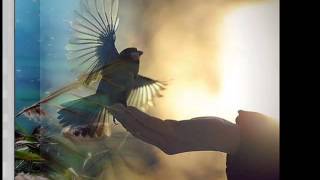 Lynyrd Skynyrd - Life&#39;s twisted