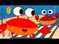 The Crabs Go Crawling FinnyTheShark Counting Song Super Simple Songs
