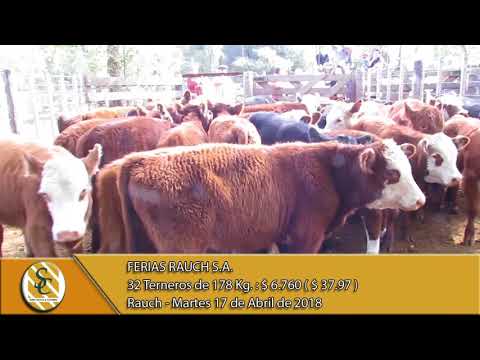 17-04-18 Venta de Machos - Ferias Rauch S.A. - Rauch