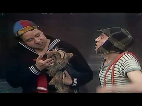 Chaves: O Cachorro Madruguinha prt2
