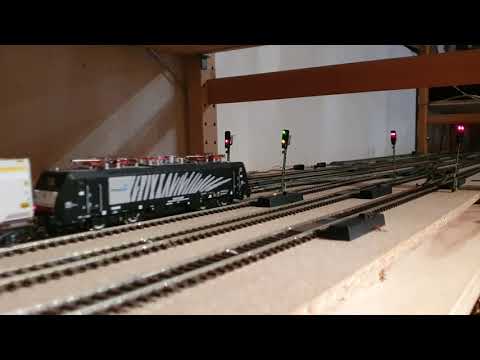 Modellbahnzuege fahren im Blockabstand.