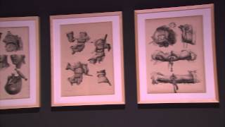 Unstable Territory exhibit at Strozzina, Florence