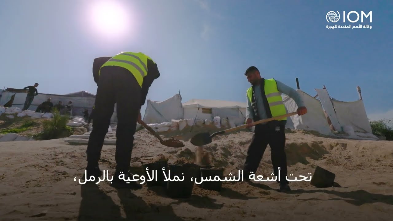بين النزوح والعمل، قصة  سعيد القصّاص في غزة | Between Displacement and Work: Sa'eed’s Story in Gaza
