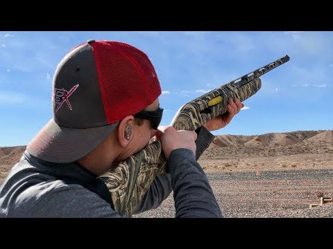 NEW Winchester SX4 20 gauge Shotgun | Gould Brothers