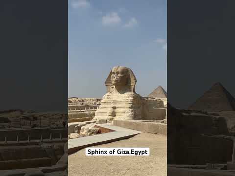 Sphinx of Giza,egypt #egypt #gizapyramid #pyramid #cairo #egyptian #egypttravel #sphinx