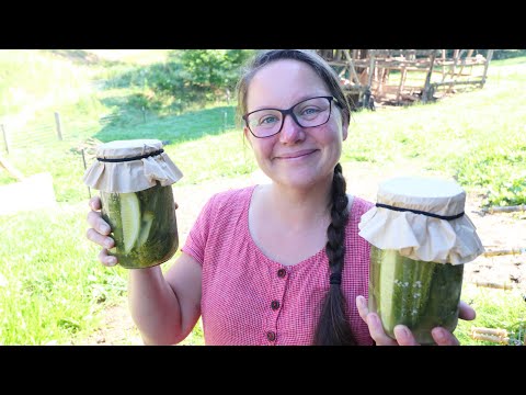 How To Make Fermented Pickles - NO CANNING! - from the homestead garden
