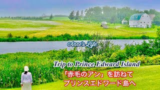 【NYで働く60代】世界でいちばん美しい島　アンが過ごしたグリーン.ゲイブルズへ　10年前の旅写真