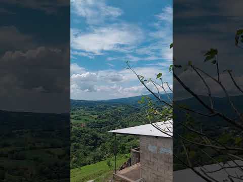 Mercedes La Ceiba . La Paz