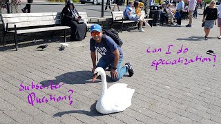 Queries from a subscriber: Can we specialize in Australia as an IMG