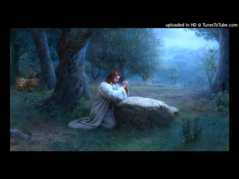 Padre Nuestro, Ave María, Gloria - Oraciones diarias de un Católico