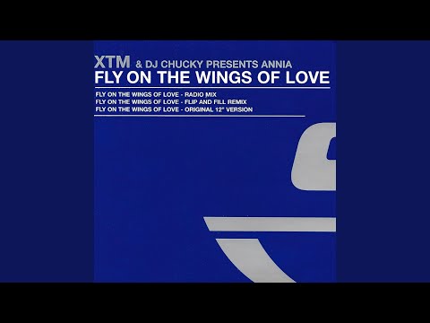 Fly On The Wings Of Love (Radio Mix)