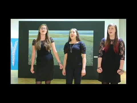 KONCERTS  LIEPĀJAS  MUZEJĀ