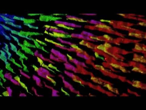 CADIK feat. WILLIE EVANS Jr. - BETTER LUCK (Official Video)