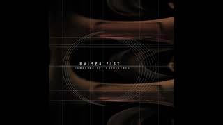 Raised Fist - Ignoring The Guidelines (&#39;00 LP)