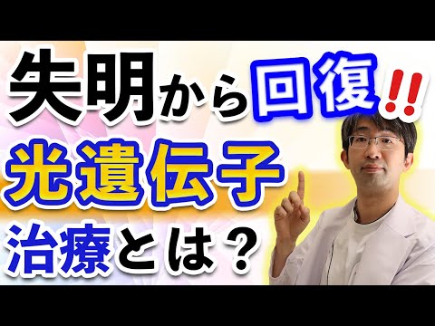 アルヴァー・ガルストランドについて詳しく解説