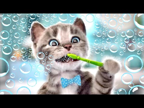 Cute Cat’s Summer Adventure to Kitten’s Birthday! ☀️🐱🎈 Funny Animals stories with Crumbs