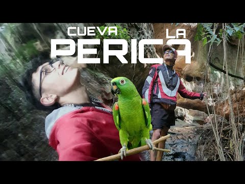 VLOGYORS | CUEVA LA PERICA | HATO SANTANDER  |