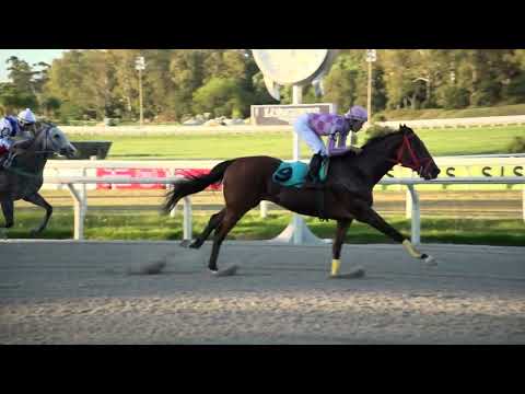 230409 c07 SPRINGBOKS