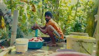 Download lagu APT Sandaru Sathsara | Indian Version mp3 Download lagu APT Sandaru Sathsara | Indian Version mp3