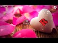 Betting Raja New Status Video Song