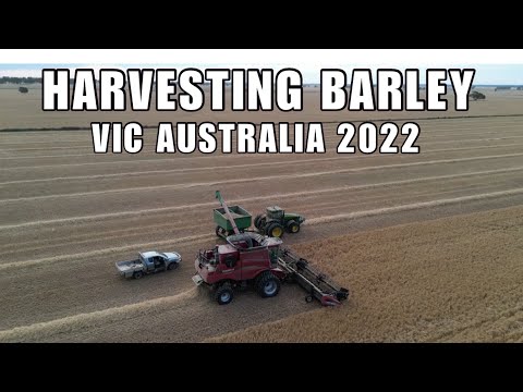 HARVESTING BARLEY CROPS 2022 VIC AUSTRALIA | DRONE FOOTAGE