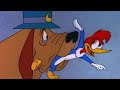 Woody Gets Captured 3 Hours Of Classic Episodes Of Woody Woodpecker