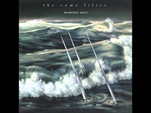 The Coma Lilies - Grab A Fork Micron (Circumcised)