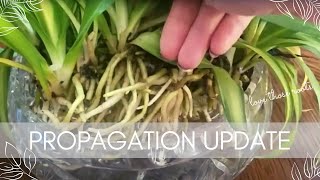 Propagation Tour  ❤️🌱