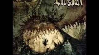 Enforsaken- A Break From Tradition