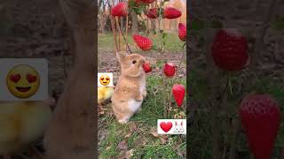 Download lagu Too Cute to Handle: Baby Animal 😍❤️ mp3