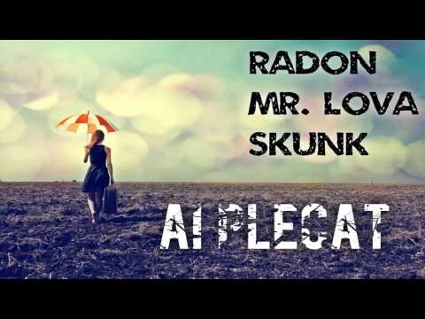 Radon & Mr. Lova - Ai Plecat (feat. Skunk)