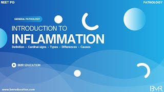 Introduction to inflammation | general pathology