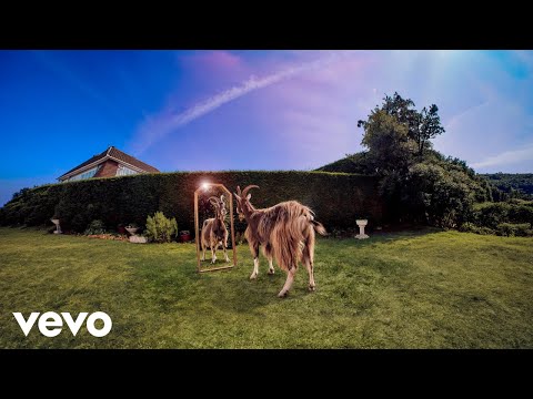 Have You Tried Screaming - daydreamers