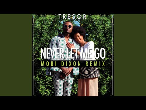 Never Let Me Go (Mobi Dixon Remix)